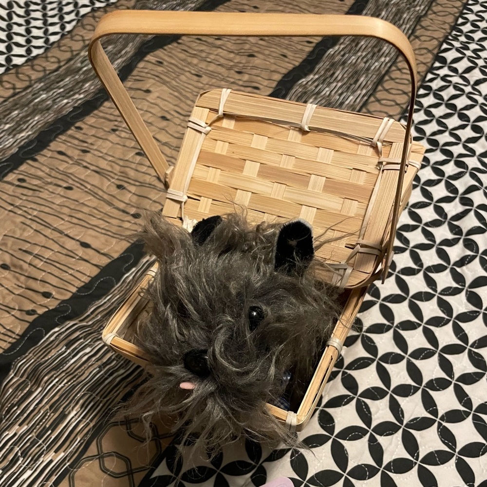 Wizard of Oz Toto and Basket